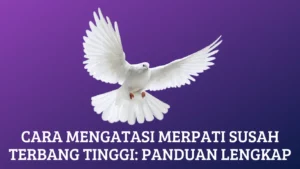 Cara Mengatasi Merpati Susah Terbang Tinggi: Panduan Lengkap