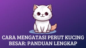 Cara Mengatasi Perut Kucing Besar: Panduan Lengkap